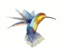 Colibri Logo de Mon Site